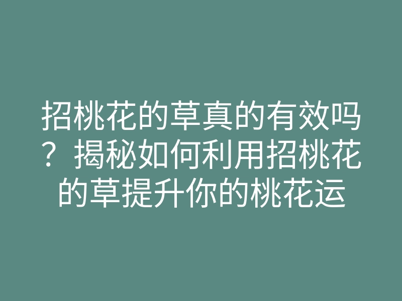招桃花的草真的有效吗?揭秘如何利用招桃花的草提升你的桃花运