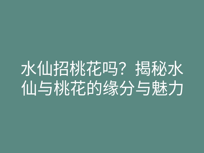 水仙招桃花吗？揭秘水仙与桃花的缘分与魅力
