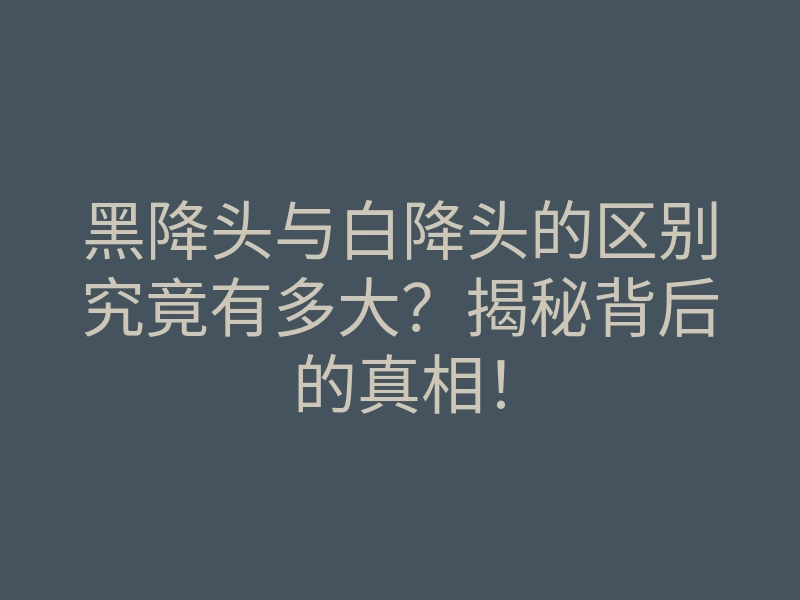 黑降头与白降头的区别究竟有多大?揭秘背后的真相!