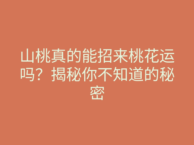 山桃真的能招来桃花运吗?揭秘你不知道的秘密