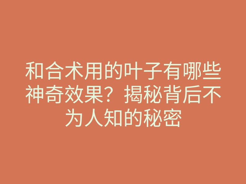 和合术用的叶子有哪些神奇效果?揭秘背后不为人知的秘密