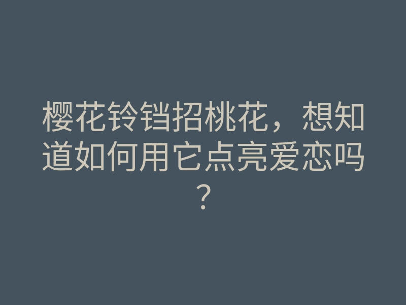 樱花铃铛招桃花,想知道如何用它点亮爱恋吗?