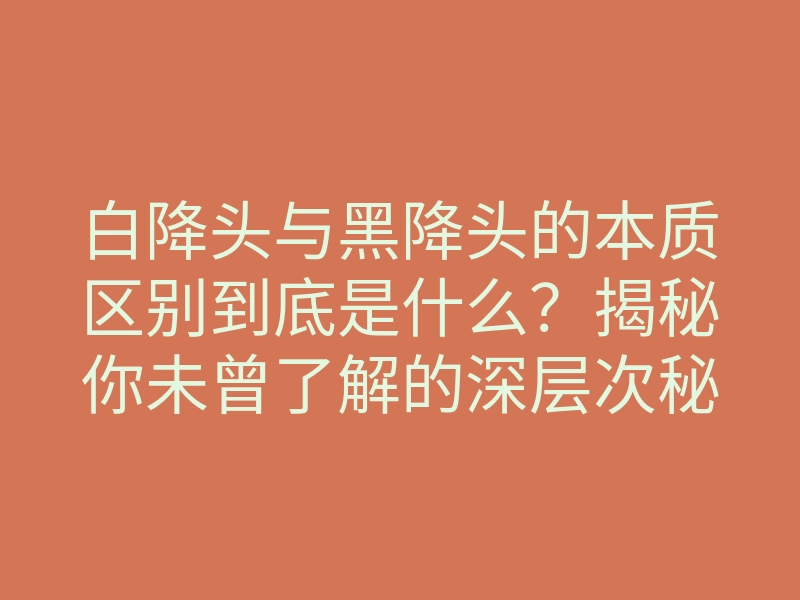 白降头与黑降头的本质区别到底是什么?揭秘你未曾了解的深层次秘密!