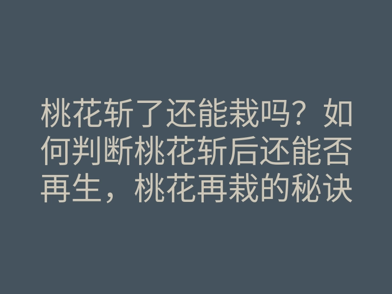 桃花斩了还能栽吗?如何判断桃花斩后还能否再生,桃花再栽的秘诀