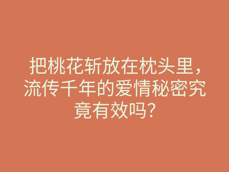 把桃花斩放在枕头里,流传千年的爱情秘密究竟有效吗?