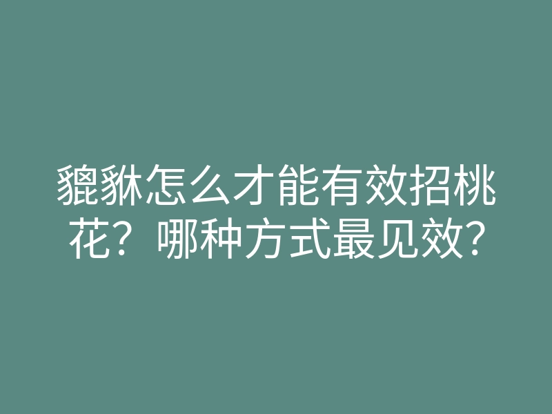 貔貅怎么才能有效招桃花?哪种方式最见效?
