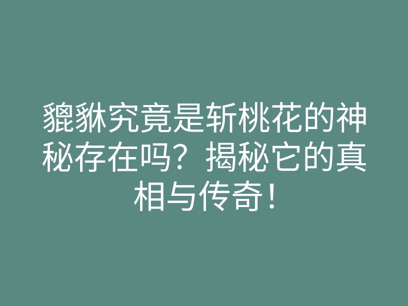 貔貅究竟是斩桃花的神秘存在吗?揭秘它的真相与传奇!