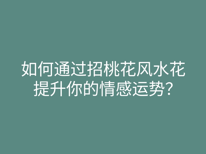 如何通过招桃花风水花提升你的情感运势?