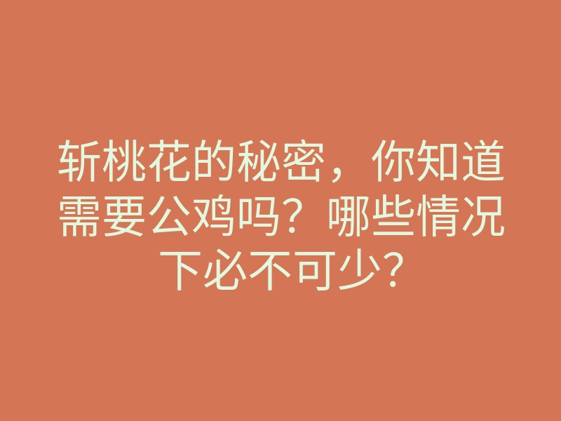 斩桃花的秘密,你知道需要公鸡吗?哪些情况下必不可少?