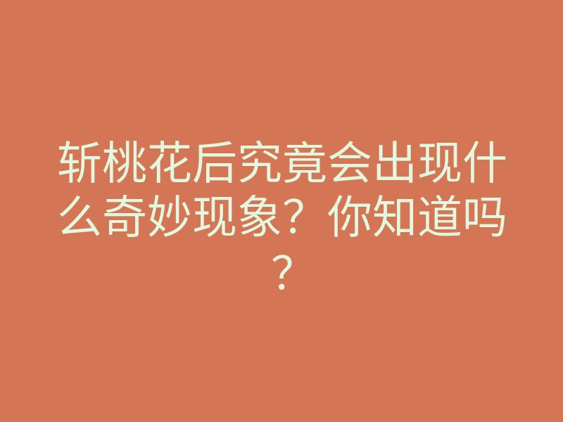 斩桃花后究竟会出现什么奇妙现象?你知道吗?