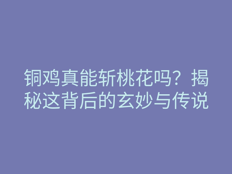 铜鸡真能斩桃花吗？揭秘这背后的玄妙与传说