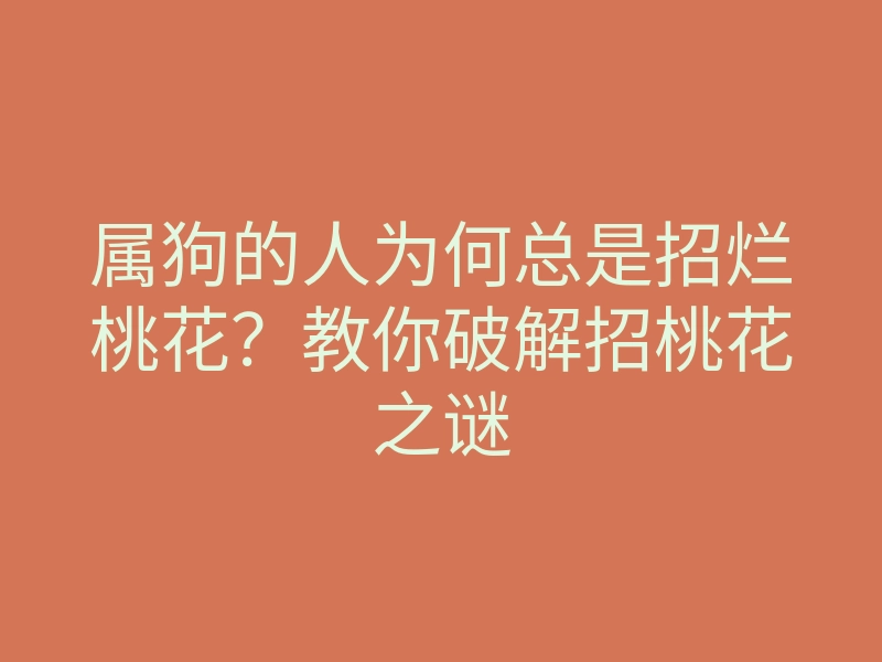 属狗的人为何总是招烂桃花?教你破解招桃花之谜