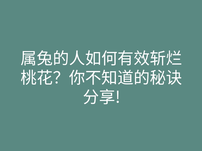 属兔的人如何有效斩烂桃花?你不知道的秘诀分享!
