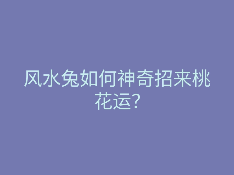 风水兔如何神奇招来桃花运?