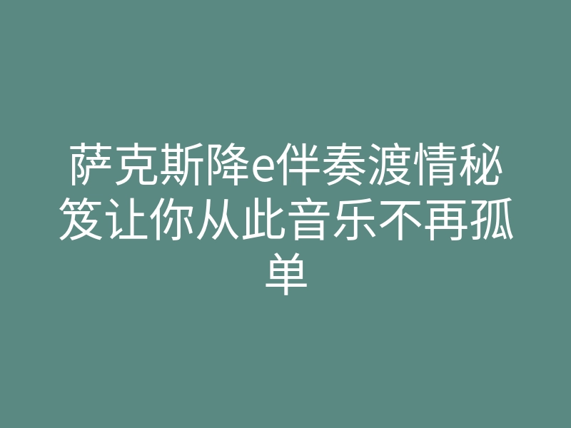 萨克斯降e伴奏渡情秘笈让你从此音乐不再孤单