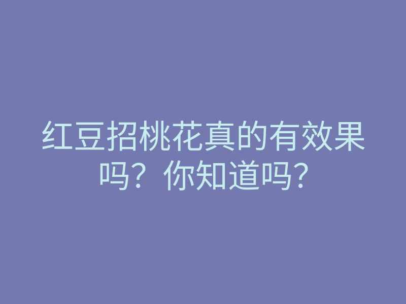 红豆招桃花真的有效果吗？你知道吗？