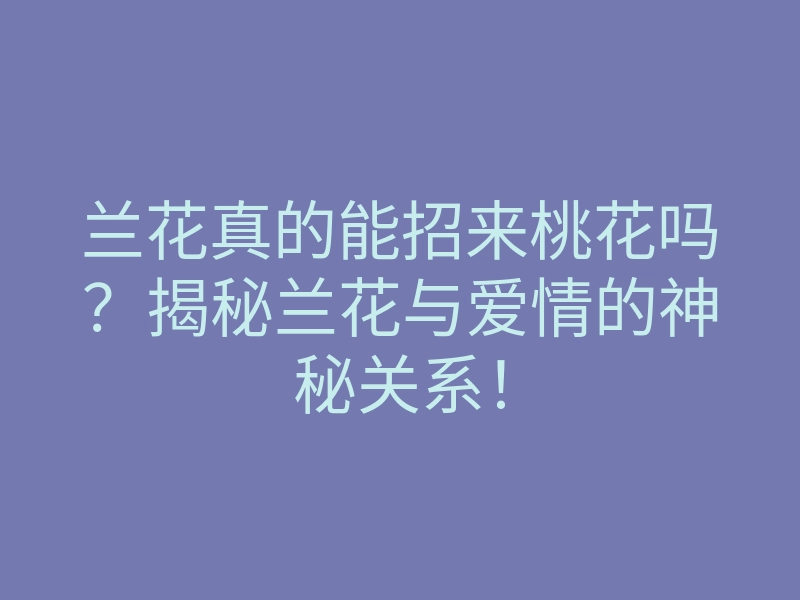 兰花真的能招来桃花吗?揭秘兰花与爱情的神秘关系!