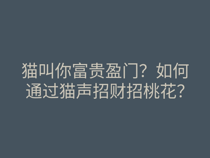 猫叫你富贵盈门?如何通过猫声招财招桃花?