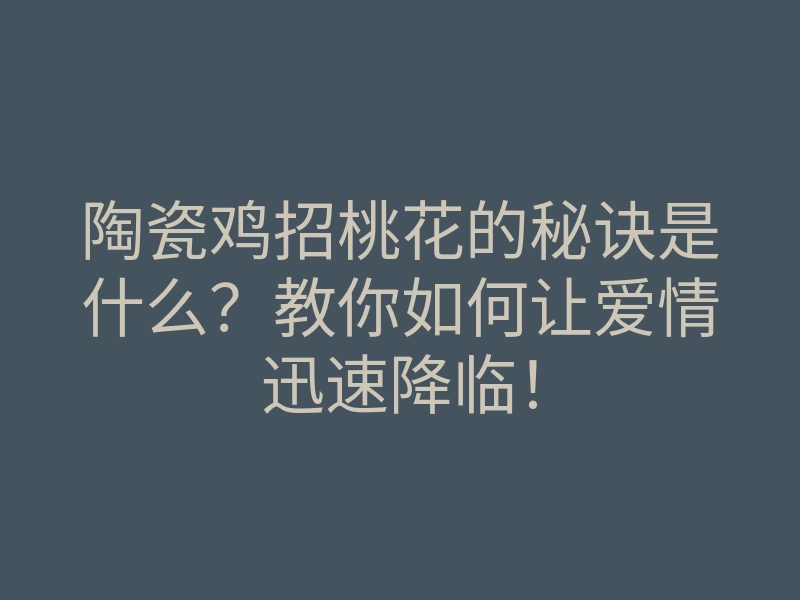 陶瓷鸡招桃花的秘诀是什么?教你如何让爱情迅速降临!
