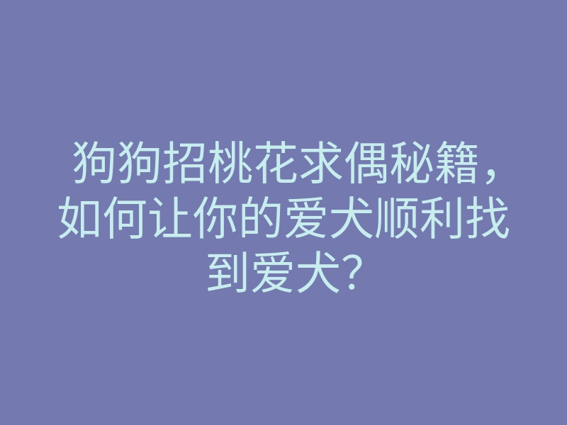 狗狗招桃花求偶秘籍,如何让你的爱犬顺利找到爱犬?