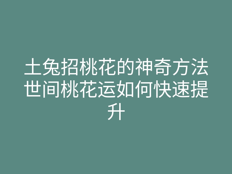 土兔招桃花的神奇方法世间桃花运如何快速提升