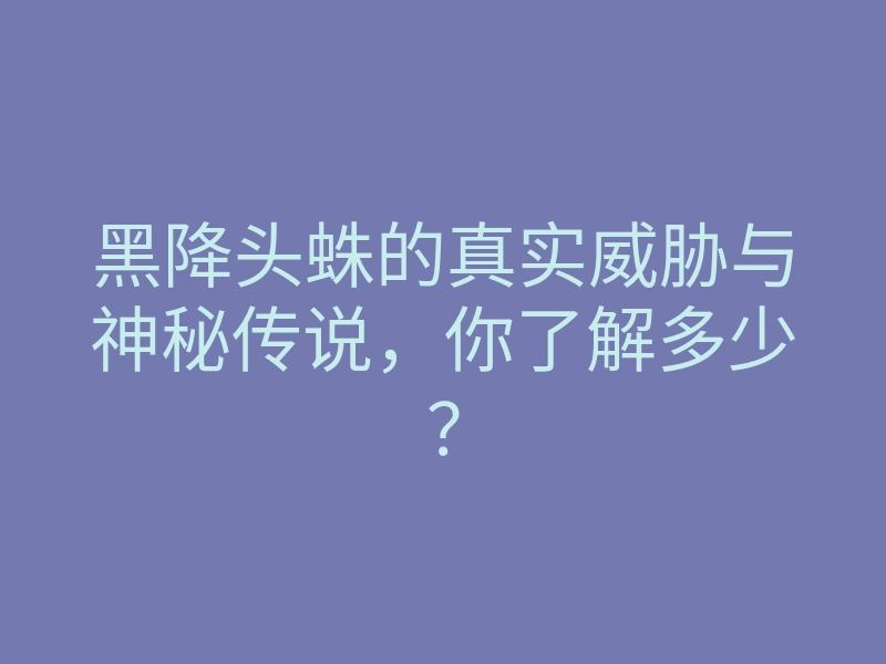 黑降头蛛的真实威胁与神秘传说,你了解多少?