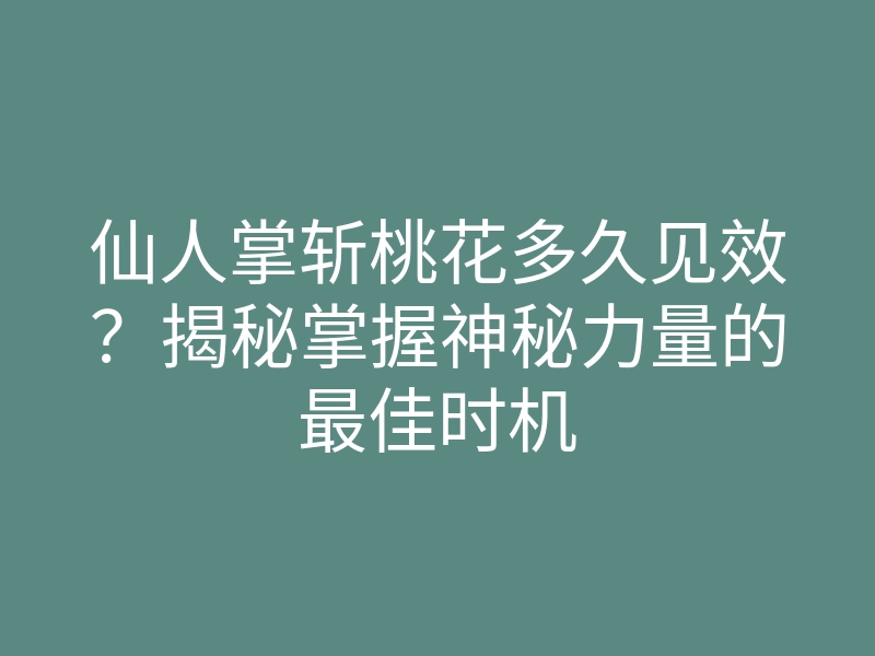 仙人掌斩桃花多久见效?揭秘掌握神秘力量的最佳时机