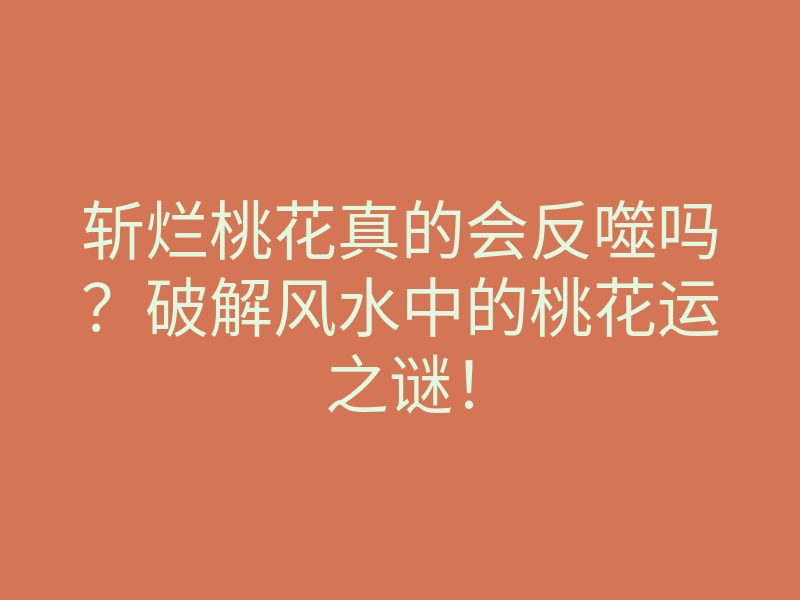 斩烂桃花真的会反噬吗?破解风水中的桃花运之谜!