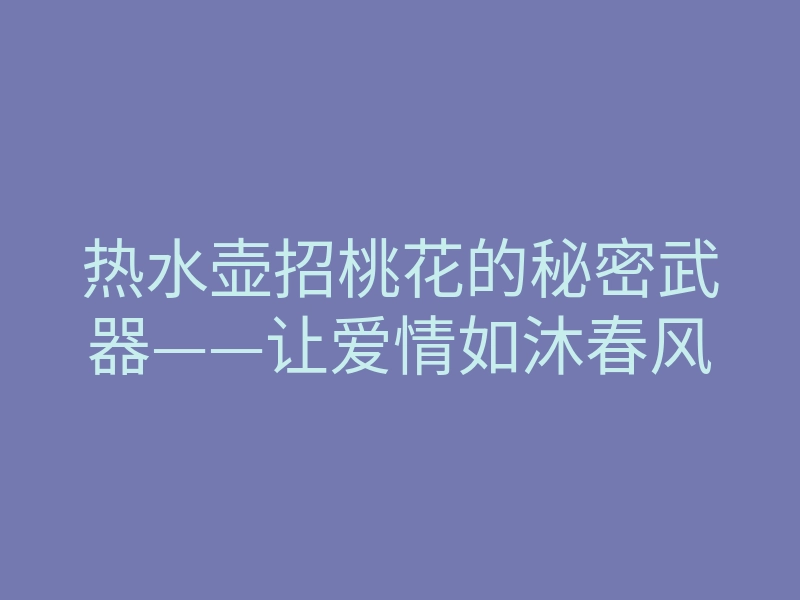 热水壶招桃花的秘密武器——让爱情如沐春风