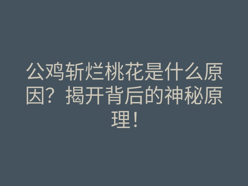 公鸡斩烂桃花是什么原因?揭开背后的神秘原理!