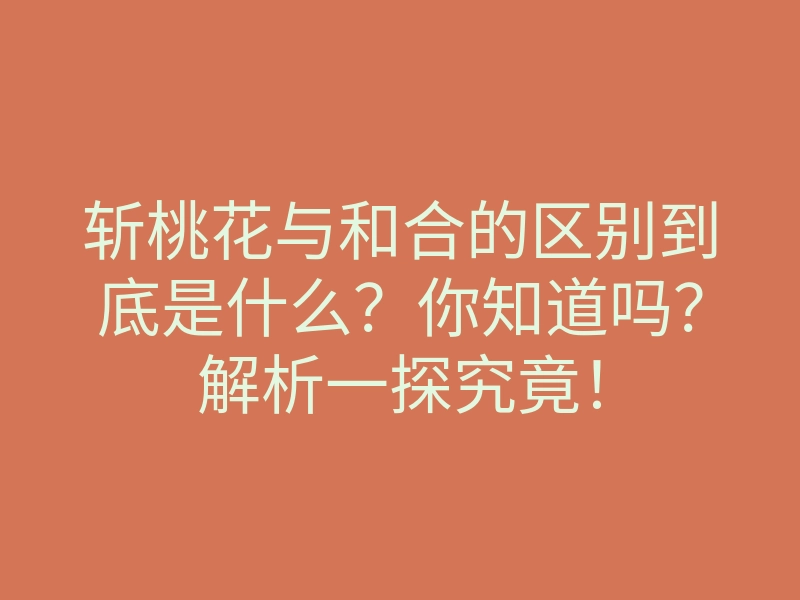 斩桃花与和合的区别到底是什么?你知道吗?解析一探究竟!