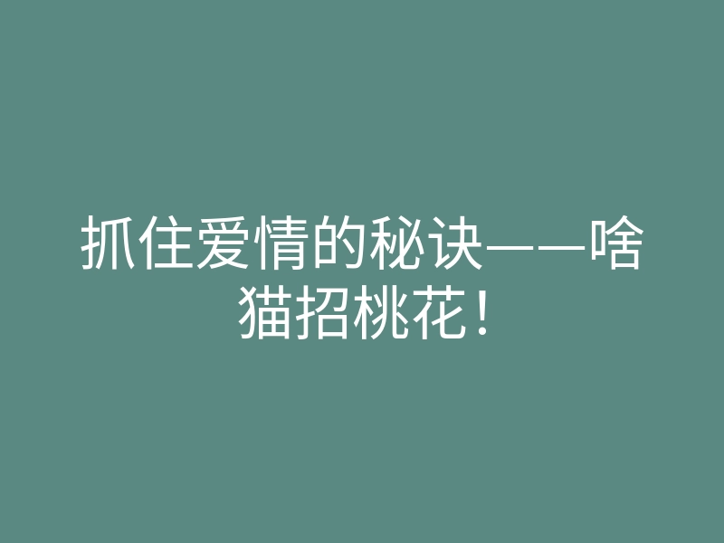 抓住爱情的秘诀——啥猫招桃花!