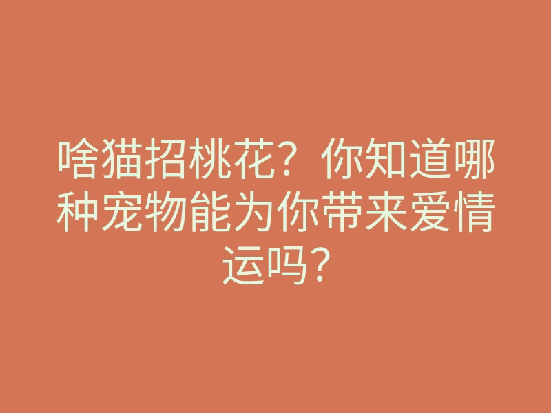 啥猫招桃花?你知道哪种宠物能为你带来爱情运吗?