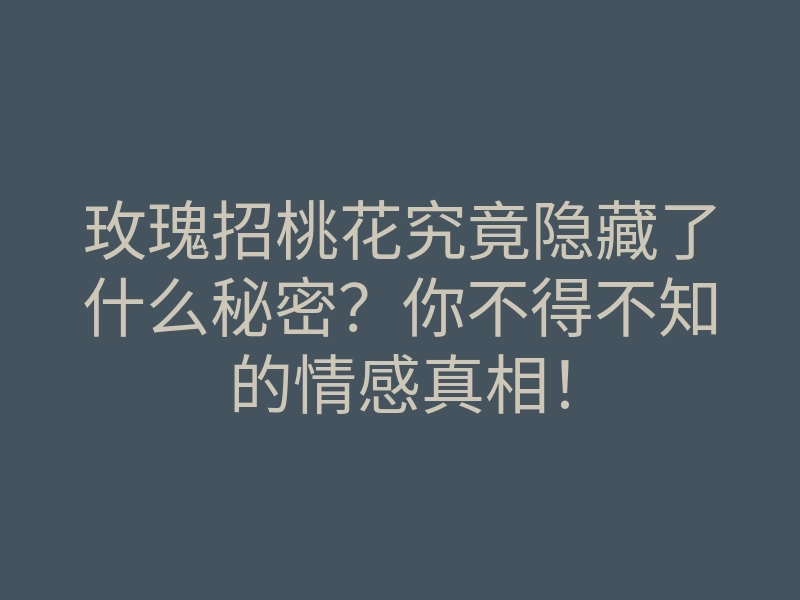 玫瑰招桃花究竟隐藏了什么秘密?你不得不知的情感真相!