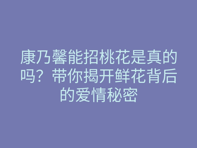 康乃馨能招桃花是真的吗?带你揭开鲜花背后的爱情秘密