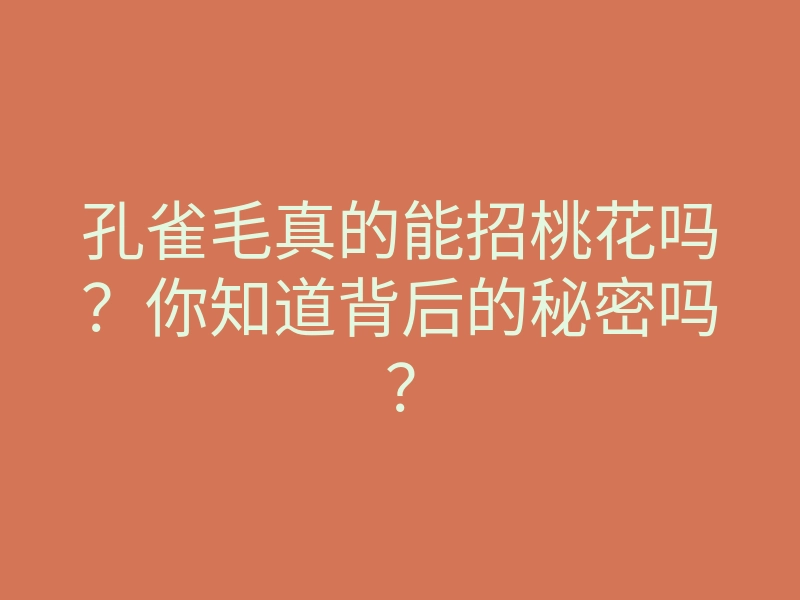 孔雀毛真的能招桃花吗?你知道背后的秘密吗?