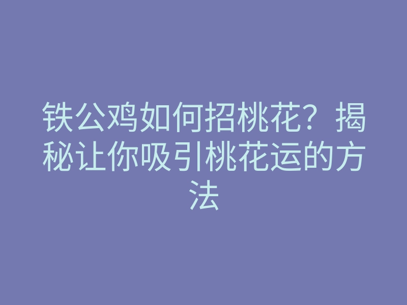 铁公鸡如何招桃花?揭秘让你吸引桃花运的方法