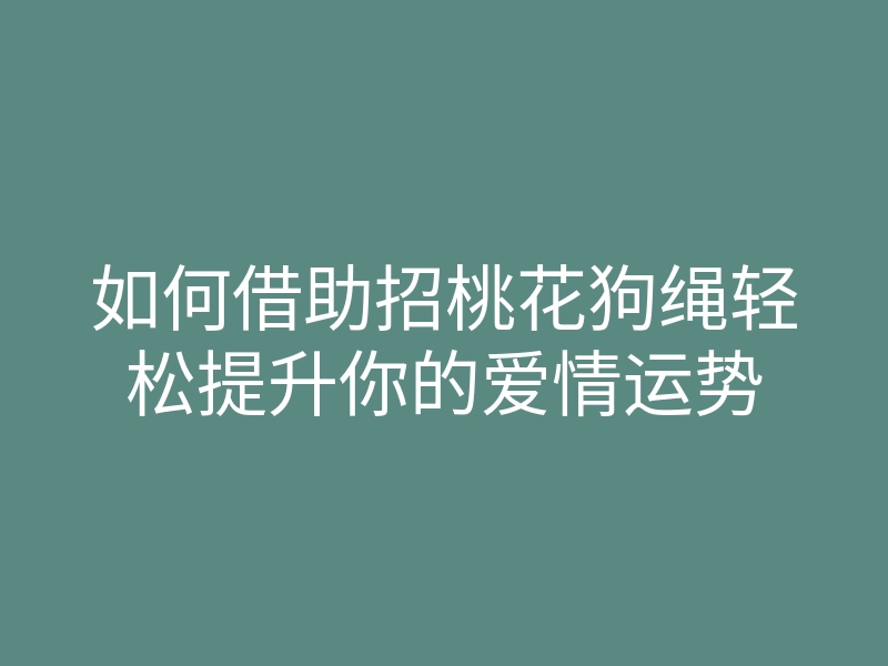 如何借助招桃花狗绳轻松提升你的爱情运势
