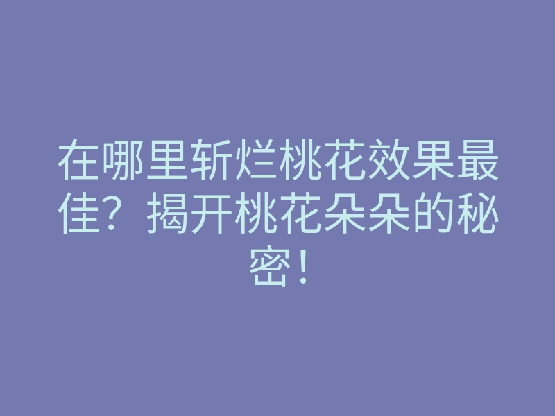 在哪里斩烂桃花效果最佳?揭开桃花朵朵的秘密!