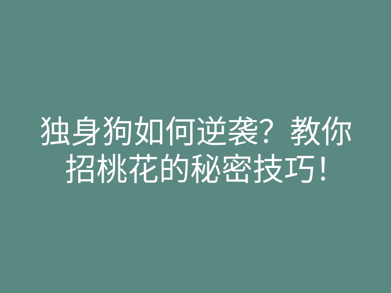 独身狗如何逆袭?教你招桃花的秘密技巧!