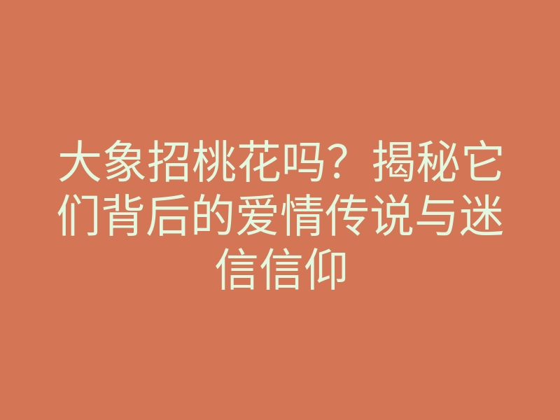 大象招桃花吗?揭秘它们背后的爱情传说与迷信信仰