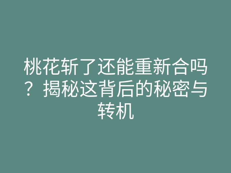 桃花斩了还能重新合吗?揭秘这背后的秘密与转机