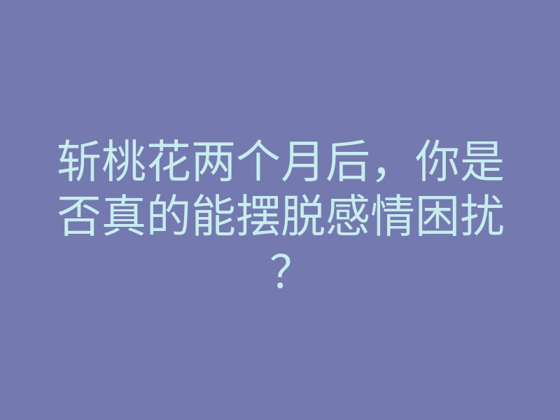 斩桃花两个月后,你是否真的能摆脱感情困扰?
