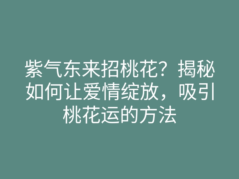 紫气东来招桃花?揭秘如何让爱情绽放,吸引桃花运的方法