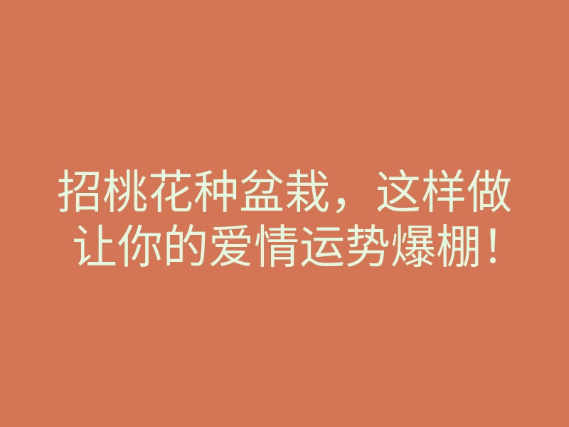 招桃花种盆栽,这样做让你的爱情运势爆棚!
