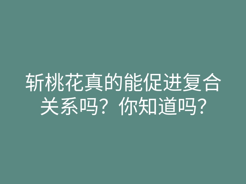斩桃花真的能促进复合关系吗?你知道吗?