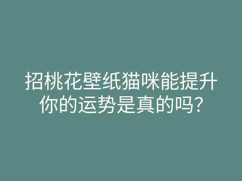 招桃花壁纸猫咪能提升你的运势是真的吗?
