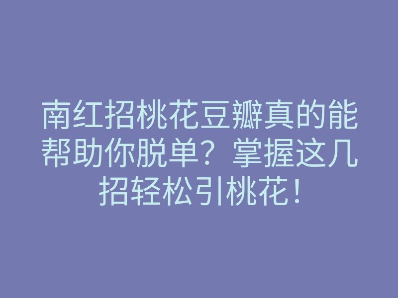 南红招桃花豆瓣真的能帮助你脱单?掌握这几招轻松引桃花!