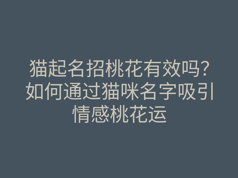 猫起名招桃花有效吗?如何通过猫咪名字吸引情感桃花运