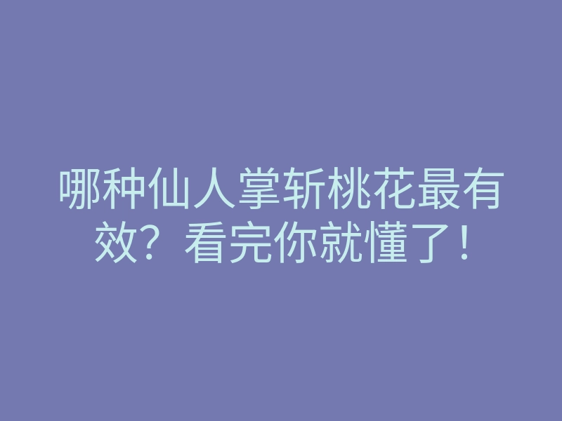 哪种仙人掌斩桃花最有效?看完你就懂了!
